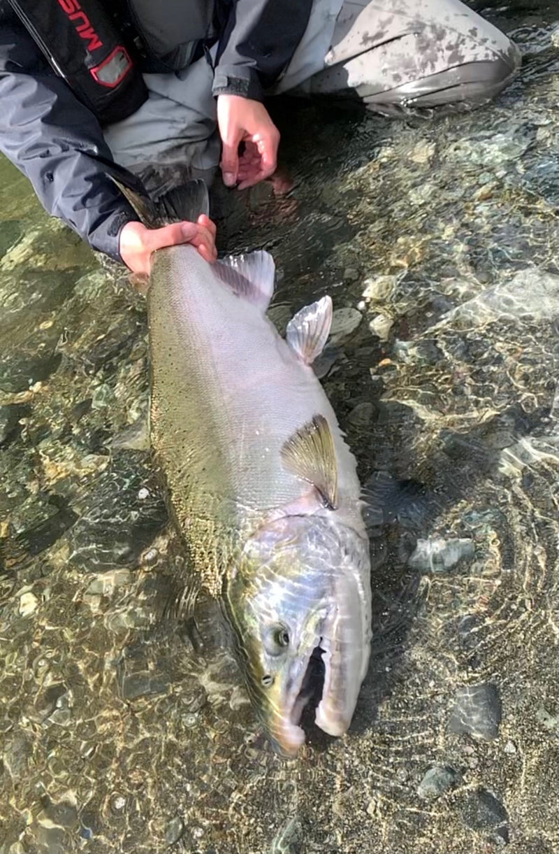 It's River Fishing Time!