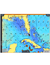 Navico WM-4 Marine Satellite Weather/Audio Receiver