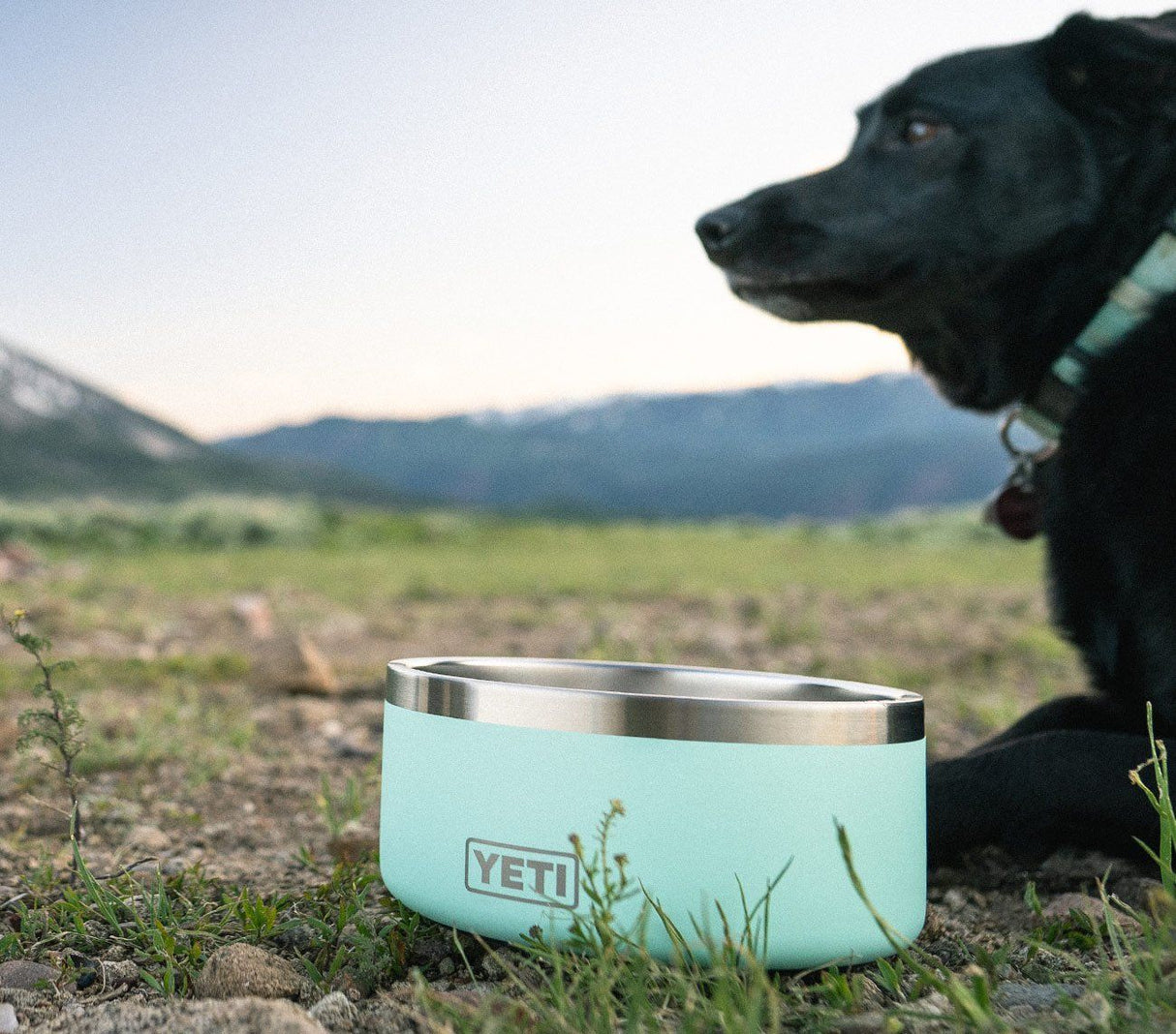 Yeti Boomer 4 Dog Bowl - Charcoal