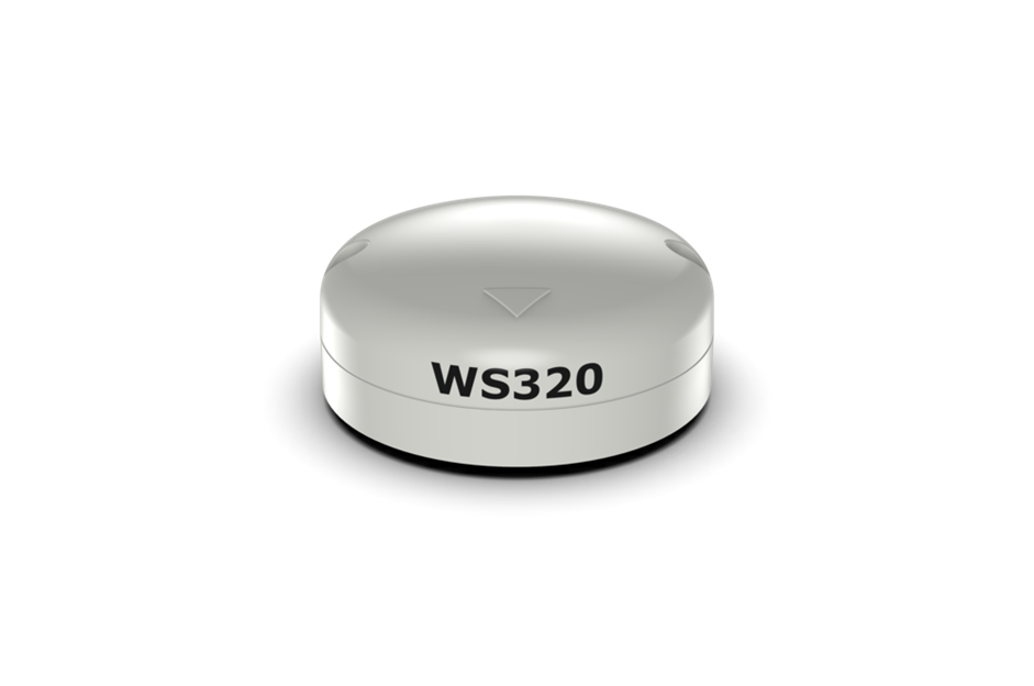 B&G WS320 (wireless) Interface